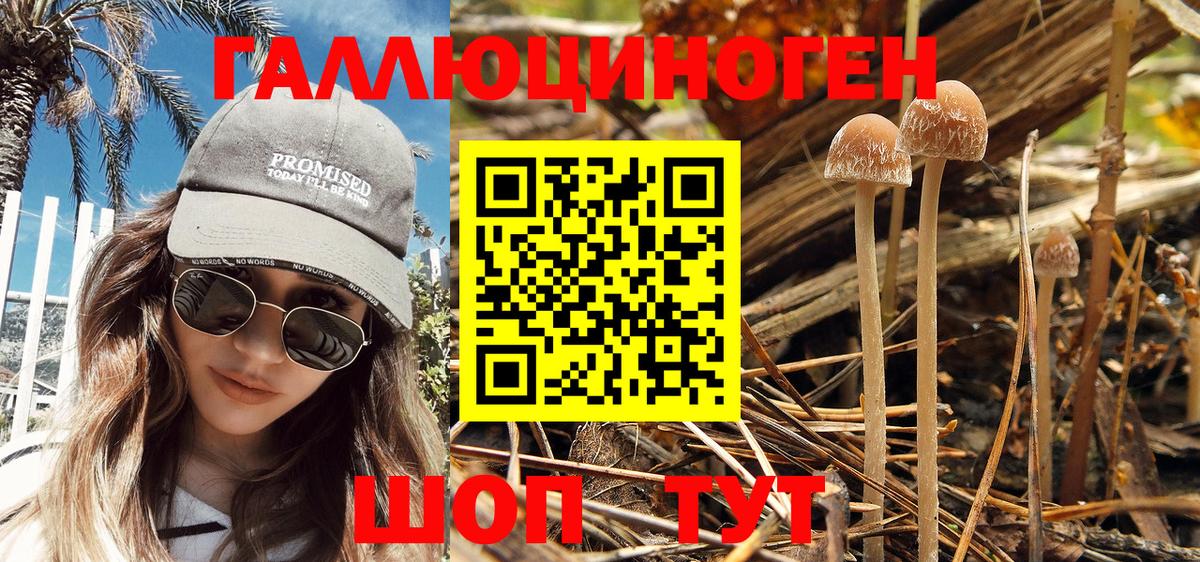 Галлюциногенные грибы MAGIC MUSHROOMS Новокузнецк