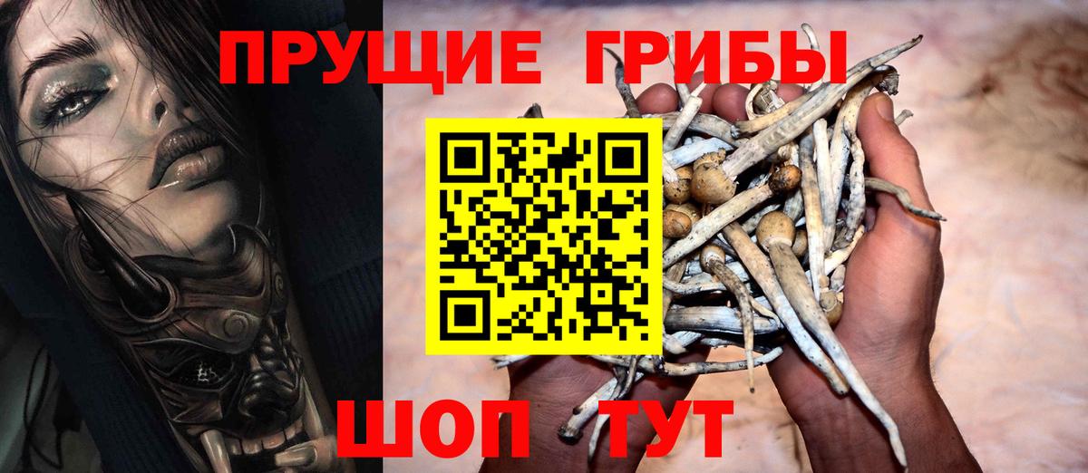Меф Новокузнецк